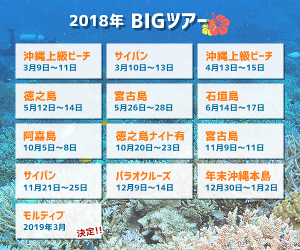 2018年BIGツアースケジュール