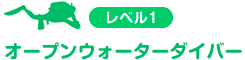 レベル2 オープンウォーターダイバー