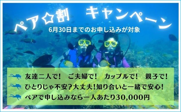 ペア割