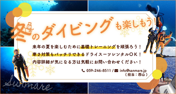 冬のダイビングも楽しもう!