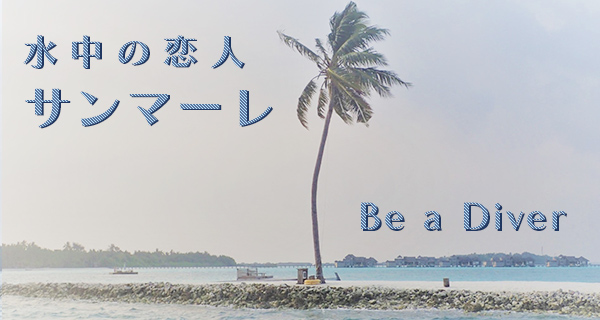 春のダイビングを楽しもう!!
