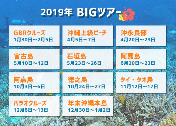 2019年BIGツアースケジュール