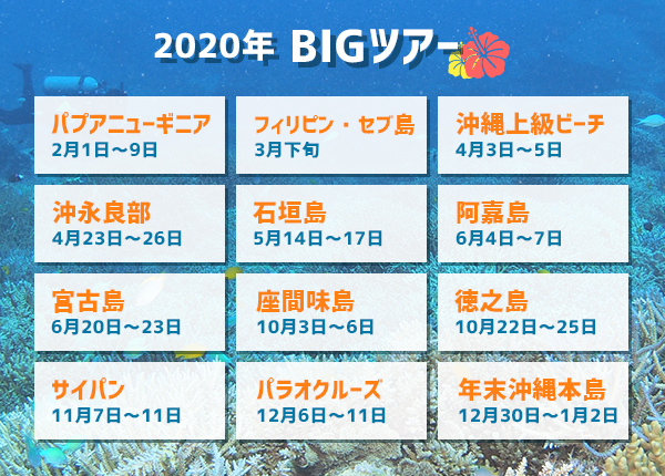 2019年BIGツアースケジュール