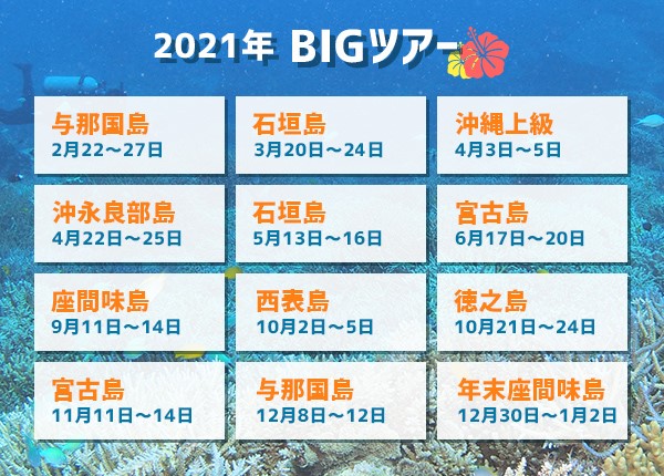 2019年BIGツアースケジュール